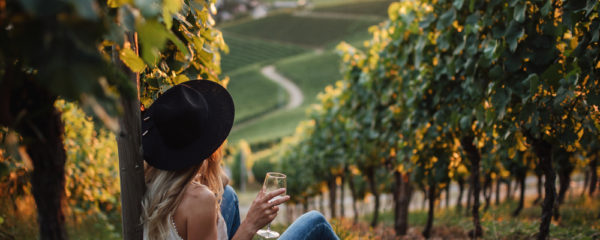 vignoble
