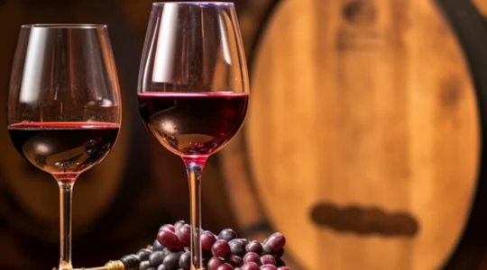 comment-remplir-une-cave-a-vin-adaptee-a-toutes-les-occasions